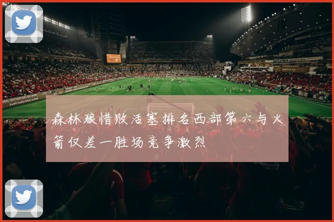 森林狼惜败活塞排名西部第六与火箭仅差一胜场竞争激烈