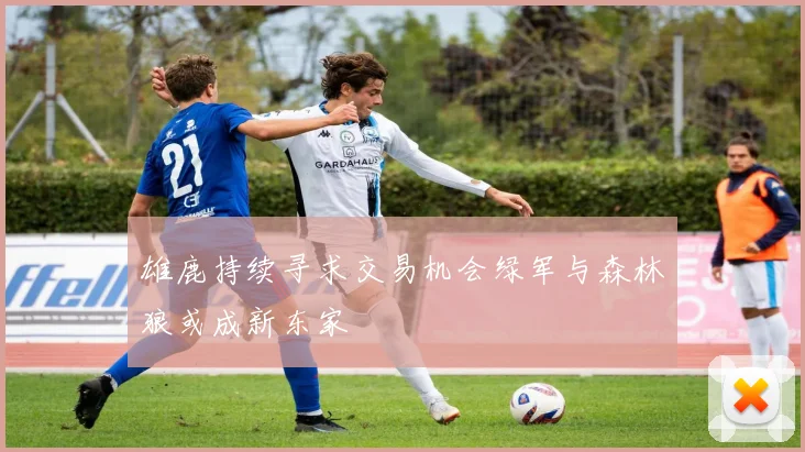 雄鹿持续寻求交易机会绿军与森林狼或成新东家